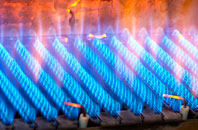 Drym gas fired boilers
